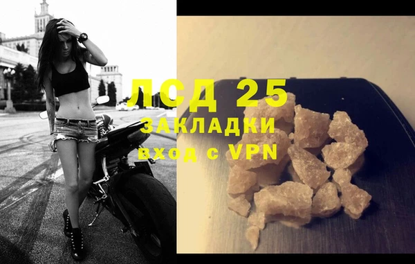 индика Алексин