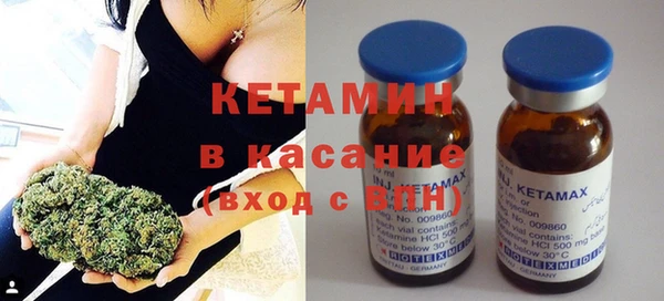 индика Алексин