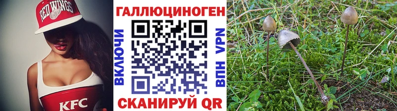 хочу наркоту  hydra   Галлюциногенные грибы мухоморы  Каневская 